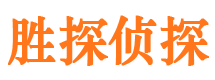 镇沅寻人公司